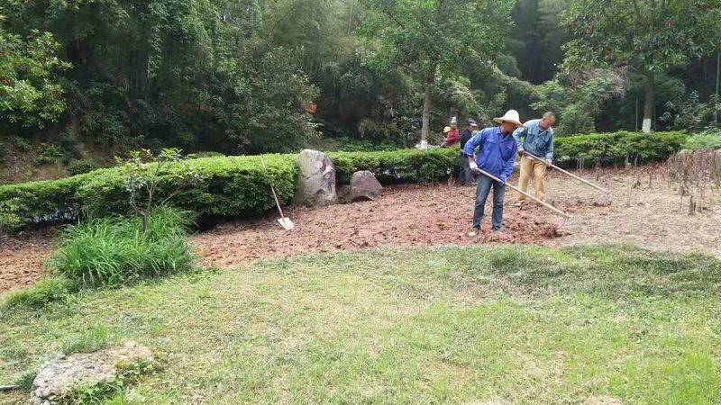 垂直绿化植物墙验收标准规范全解析