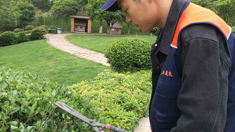 办公室绿植租赁价格背后的秘密**