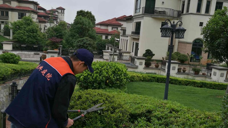 园林绿化预算报价明细：揭秘预算构成与合理评估**