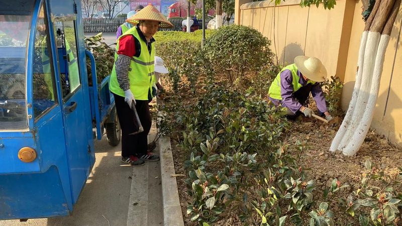 草坪铺设后养护规范全解析