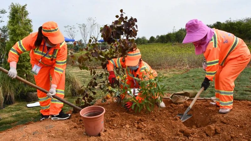 成都人造草坪施工公司推荐