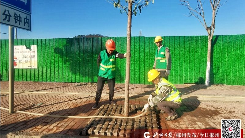 绿植租摆，如何选择性价比之选？**