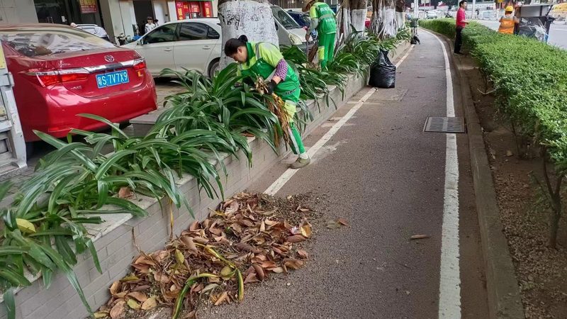 景观设计：细节决定成败的关键要素**
