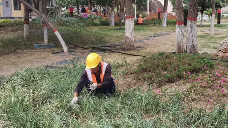 人工草坪施工费之谜：揭秘每平方的成本构成